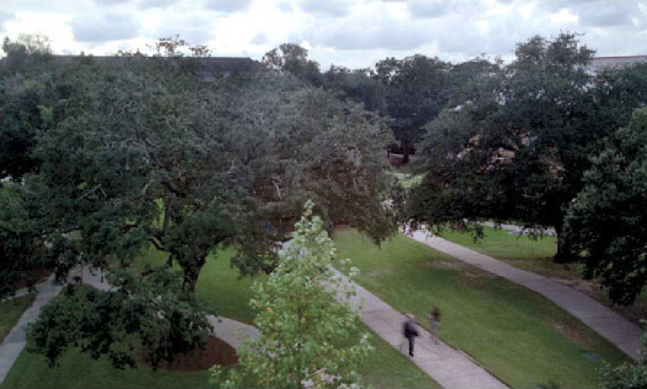 Overhead View of Tulane Campus - The Murphy Institute