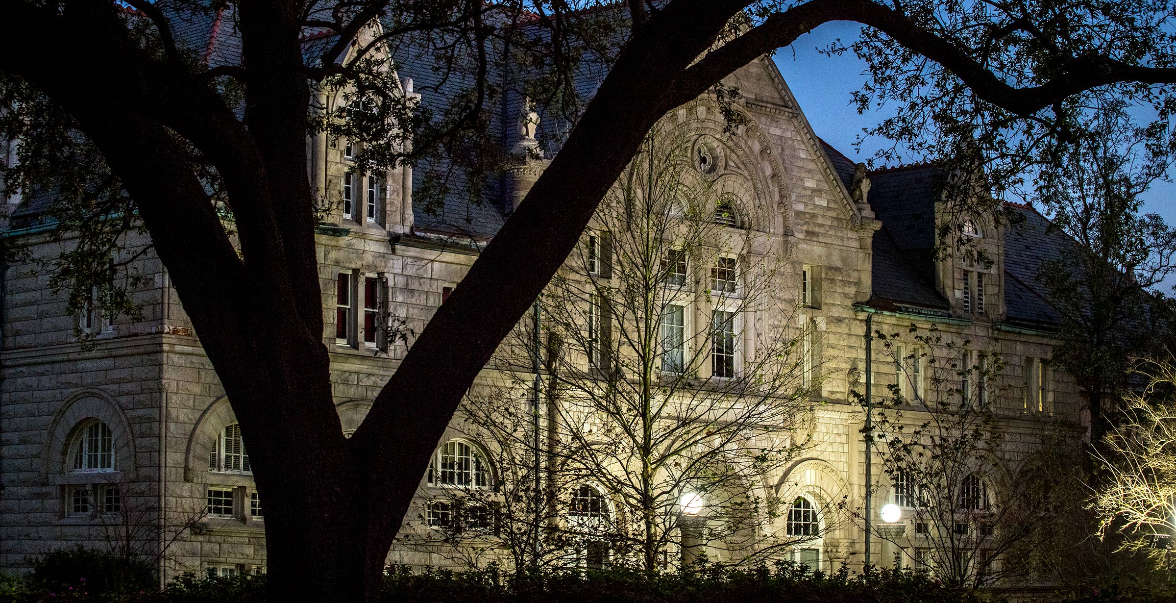Photo of Tilton Hall Behind Tree At Night - The Murphy Institute