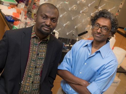 Professors Taofeeq Adebayo and Janarthanan Jayawickramarajah