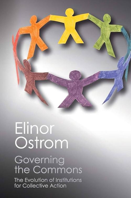 Governing the Commons book