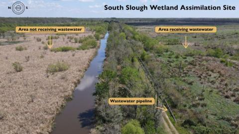 City of Hammond’s assimilation wetland on the northern coast of Pass Manchac