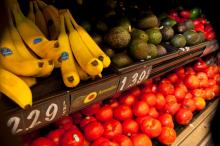 Bananas, avocados, and tomatoes on display at a grocery store with prices listed.